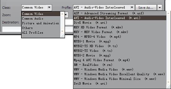 dvd to avi converting