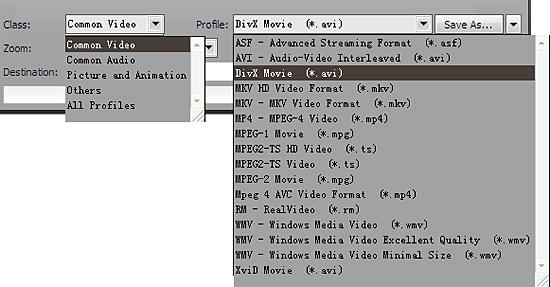 convert dvd to divx