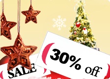 Christmas 2010 sales: save 30% on all orders!